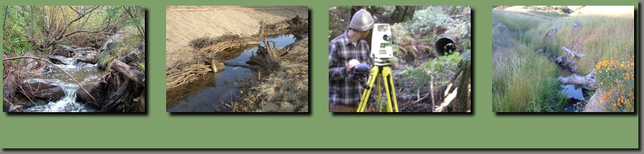 bay area stream restoration