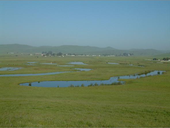 DSCF0026